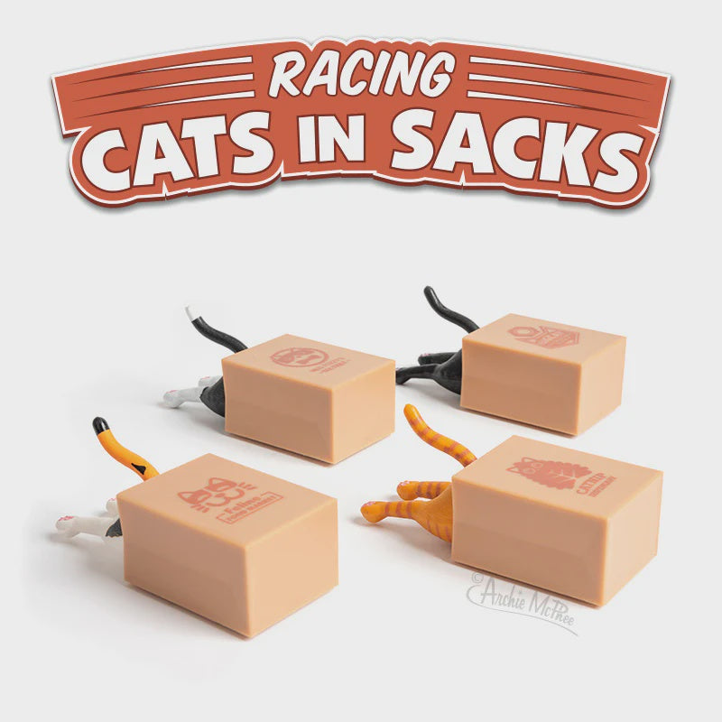 Racing Cats in Sacks