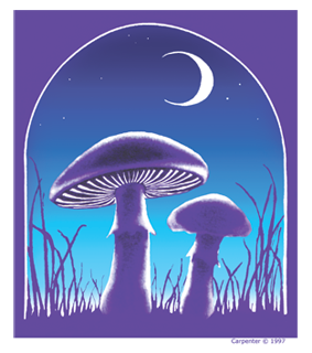 Dye the Sky - Mushroom Sticker