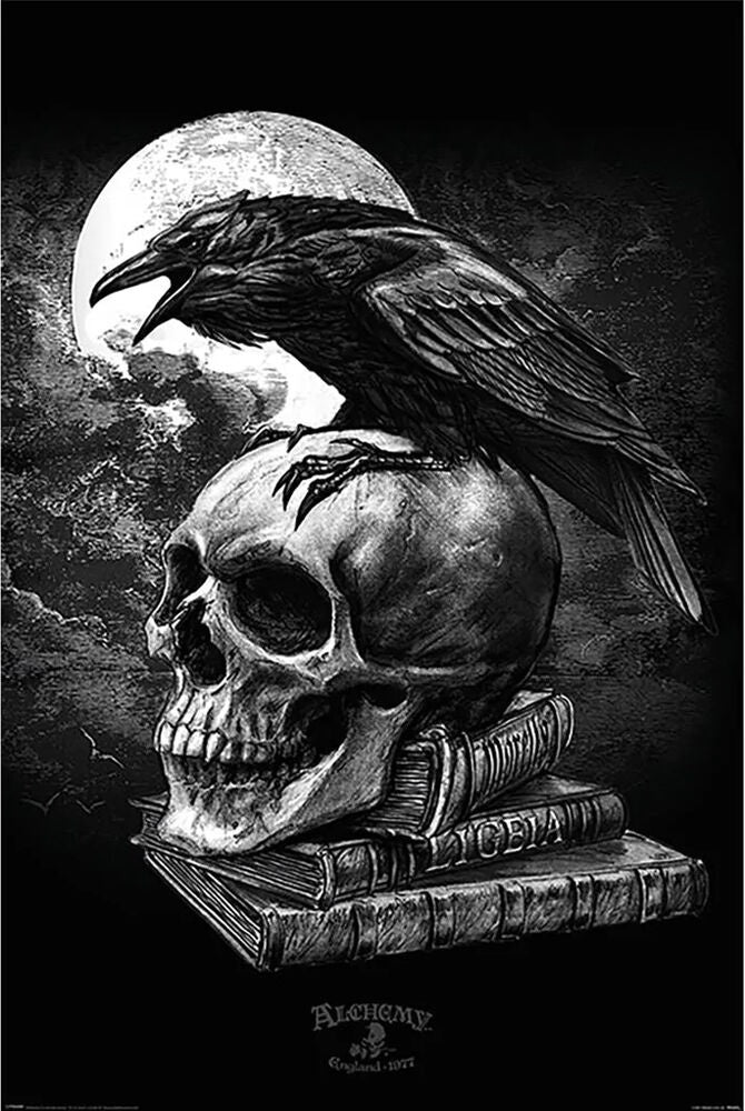 Alchemy Poe's Raven Poster