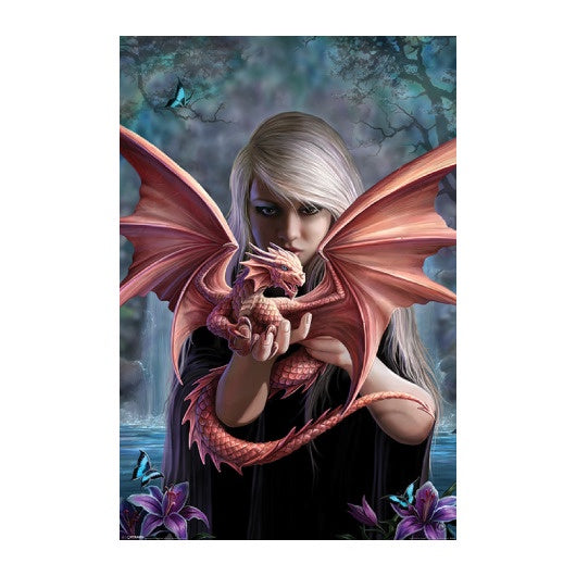 Anne Stokes Dragonkin Poster