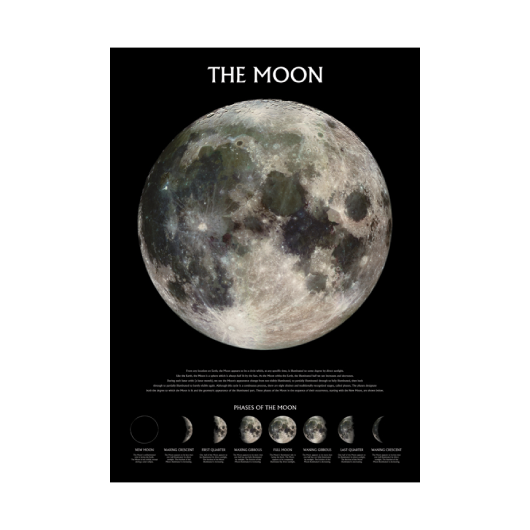 The Moon Phases Poster