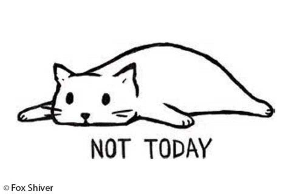 Not today - Cat Funny Magnet