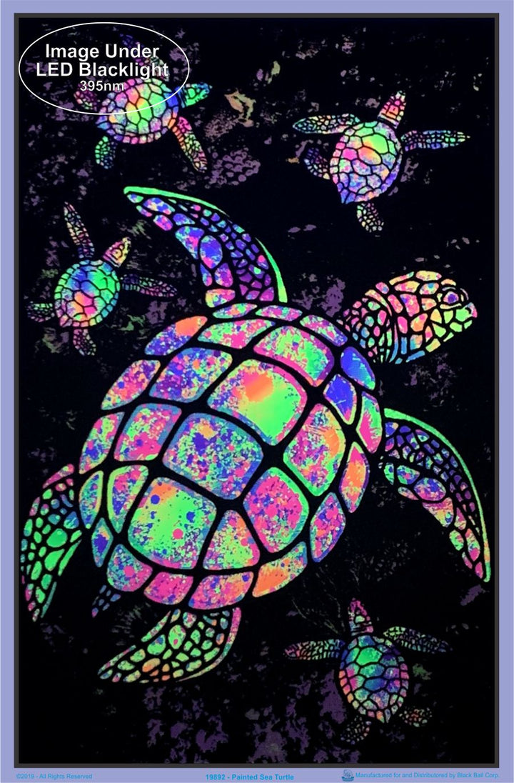 Painted Sea Turtle Black Light Poster- BL2-C19