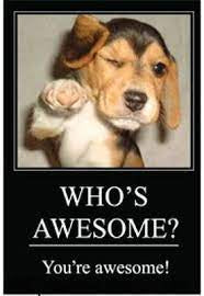 Who's Awesome? You're Awesome!