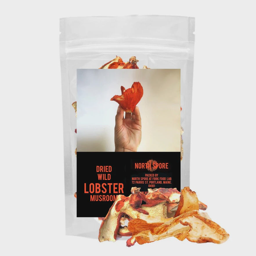 Dried Wild Lobster Mushrooms