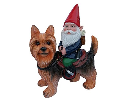 Funny Guy - Gnome Riding Yorkie Statue