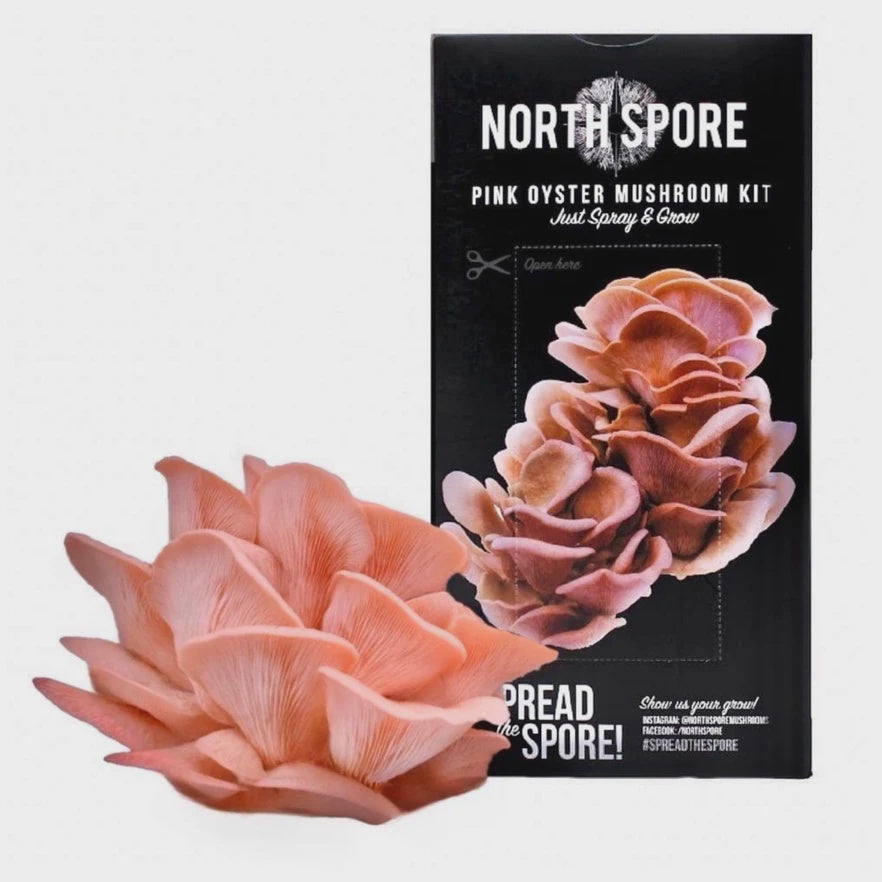 Organic Pink Oyster ‘Spray & Grow’ Mushroom Growing Kit