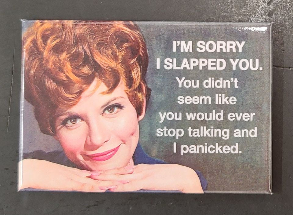 I'm Sorry I Slapped You - Funny Magnet