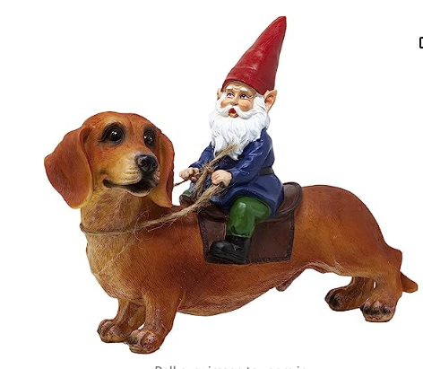 Gnome Riding Dachshund Dog - Statue
