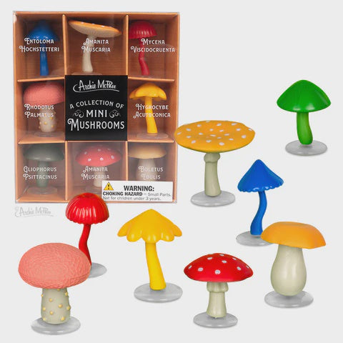 Mini Mushroom Collection