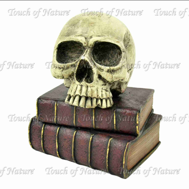 Midwest - Skull Sitting on Two Spell Books Statue