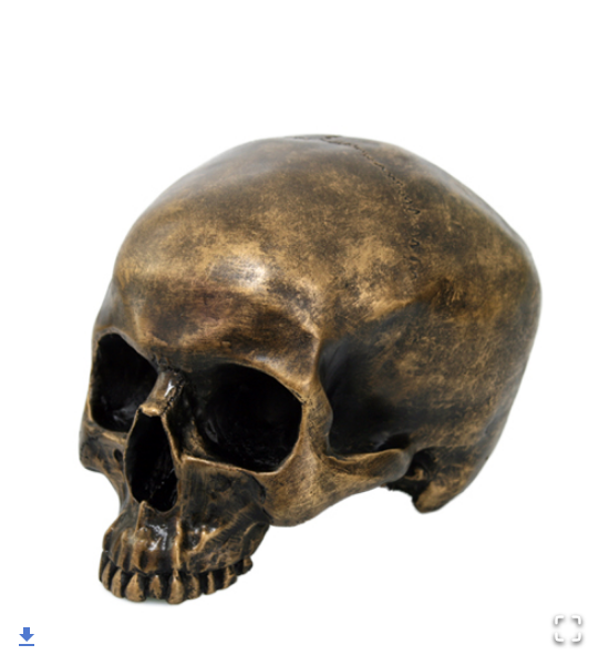 Pacific - Gold Brushed Skull 11325